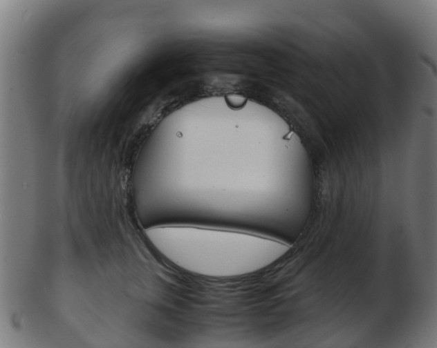X0000103500759200809121012