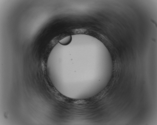 X0000103500761200809121012
