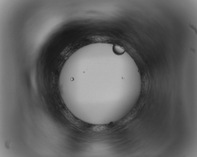 X0000103500762200809121012