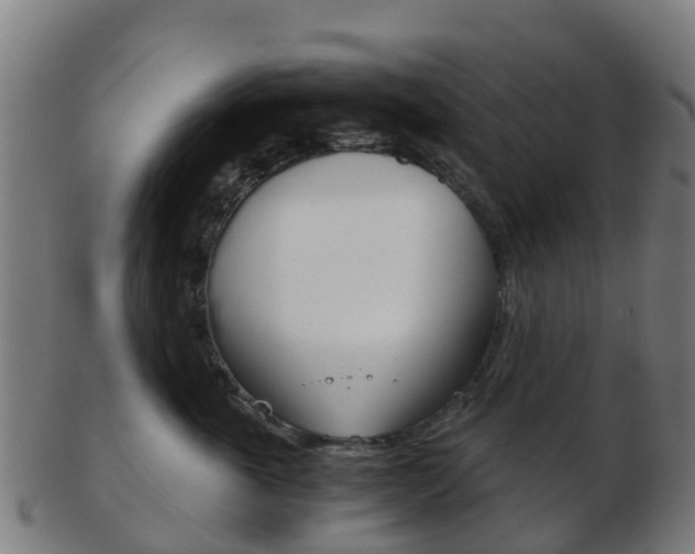 X0000103500763200809121012