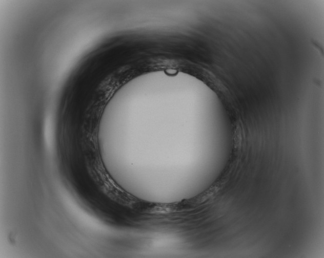 X0000103500764200809121012