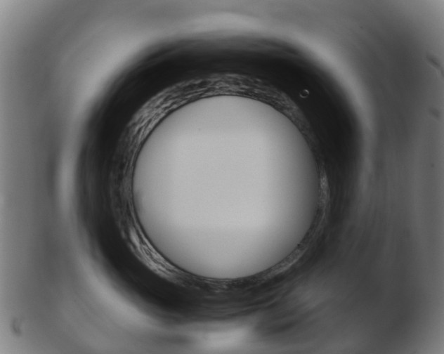 X0000103500765200809121012