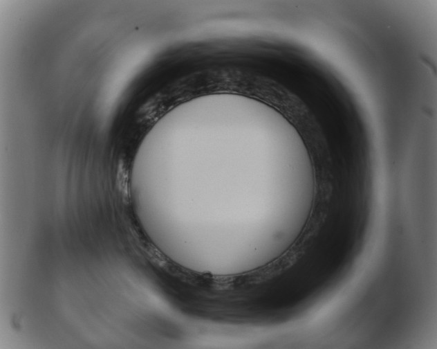 X0000103500766200809121012
