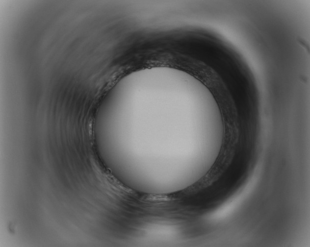 X0000103500767200809121012