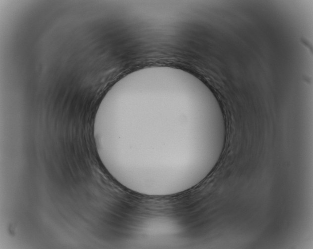 X0000103500768200809121012