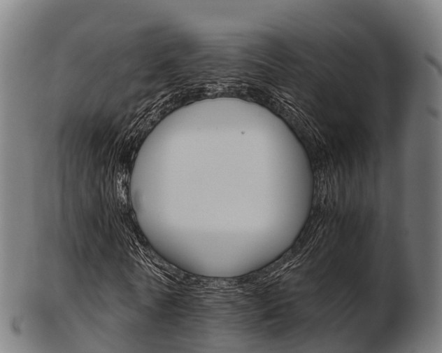 X0000103500770200809121011