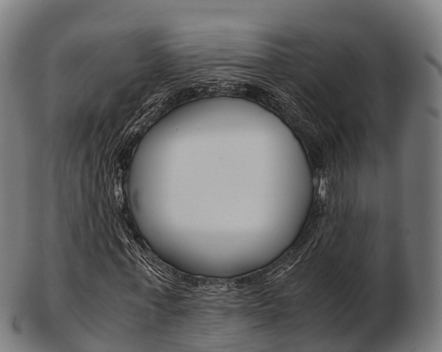 X0000103500771200809121011