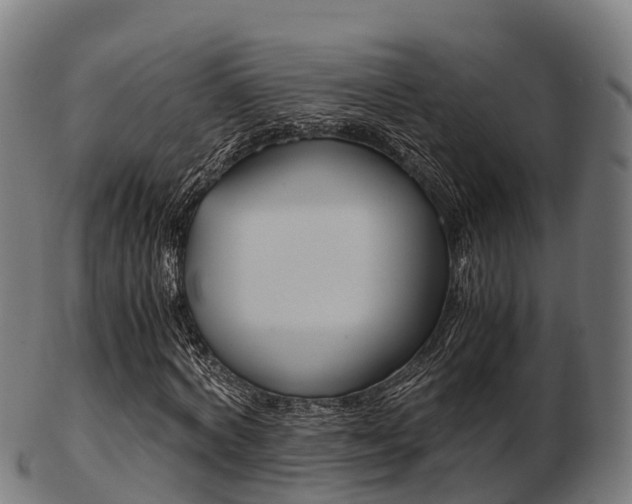 X0000103500772200809121011