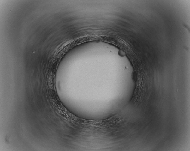 X0000103500773200809121011