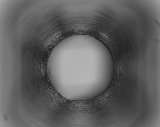 X0000103500774200809121011