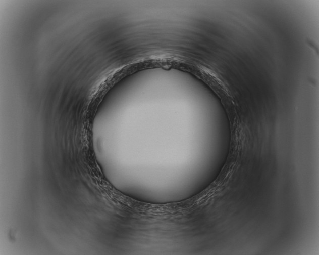 X0000103500776200809121011