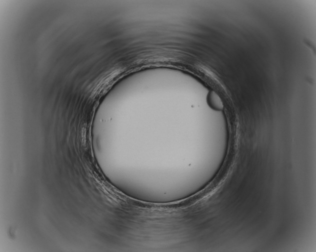 X0000103500777200809121011