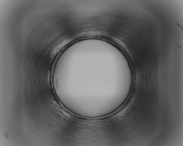 X0000103500778200809121011