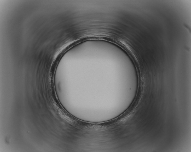 X0000103500779200809121011