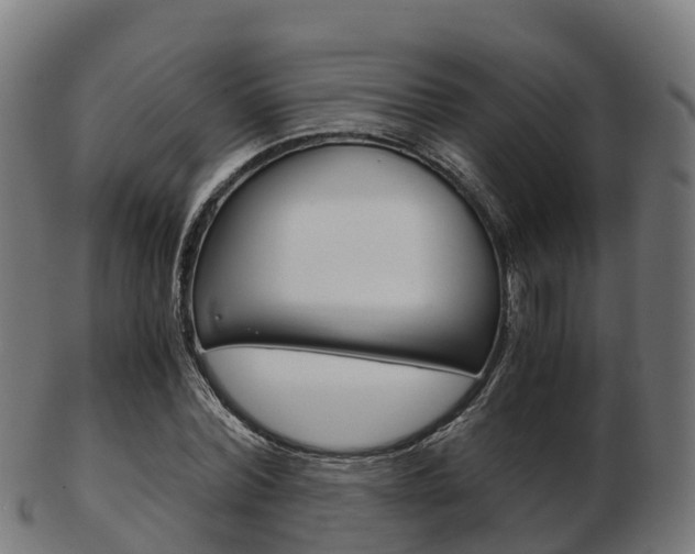 X0000103500780200809121011