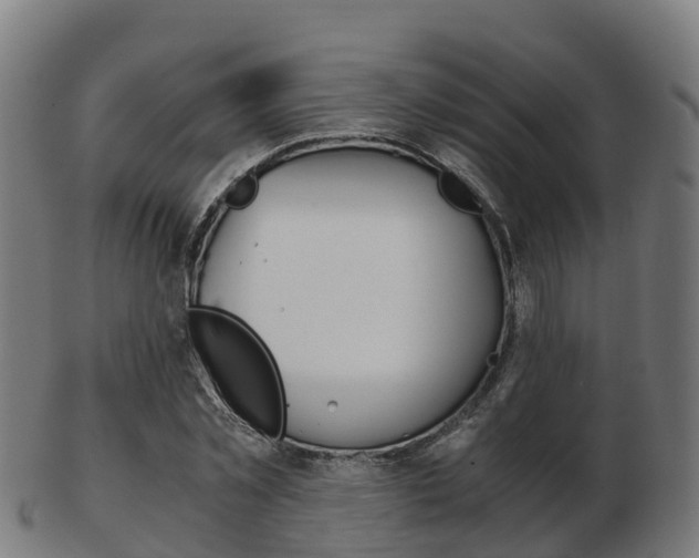 X0000103500781200809121011