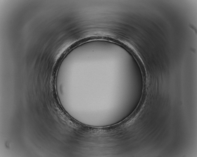 X0000103500783200809121011