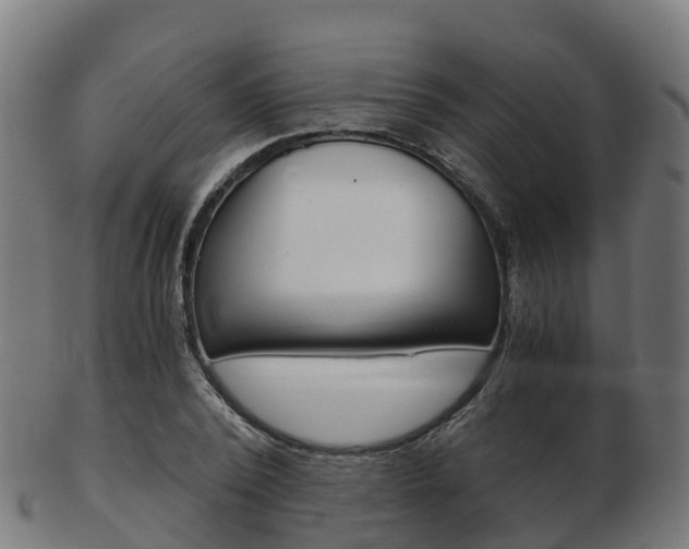 X0000103500784200809121011