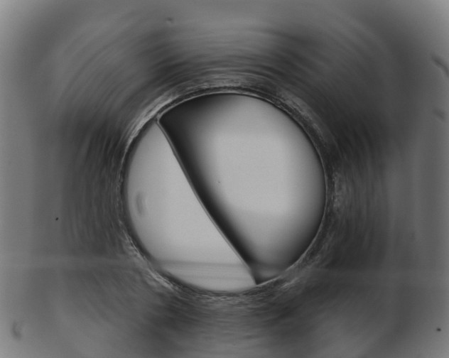 X0000103500786200809121011
