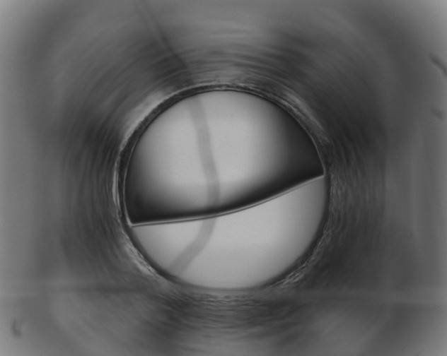 X0000103500788200809121011