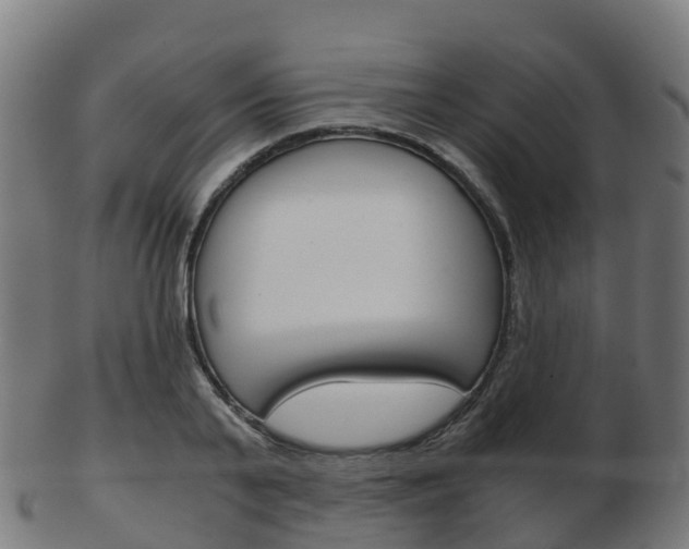 X0000103500791200809121011