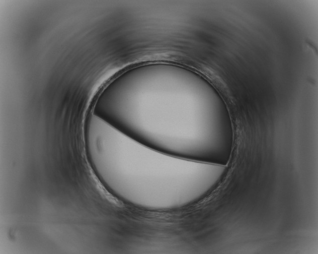X0000103500792200809121011