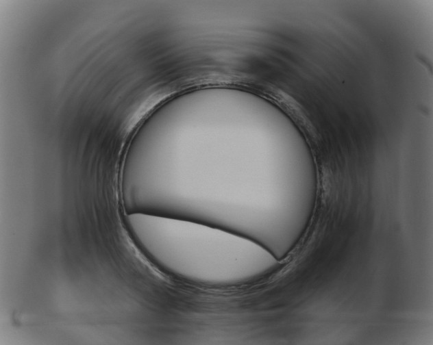 X0000103500794200809121011