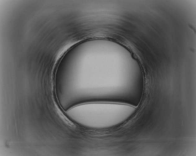 X0000103500795200809121011