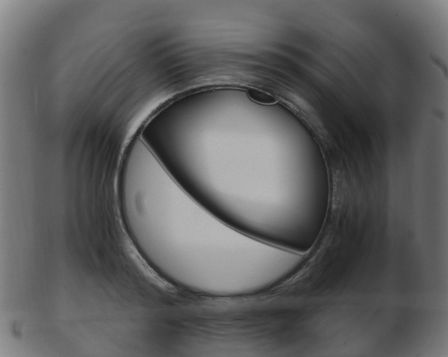 X0000103500796200809121011