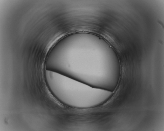 X0000103500798200809121011