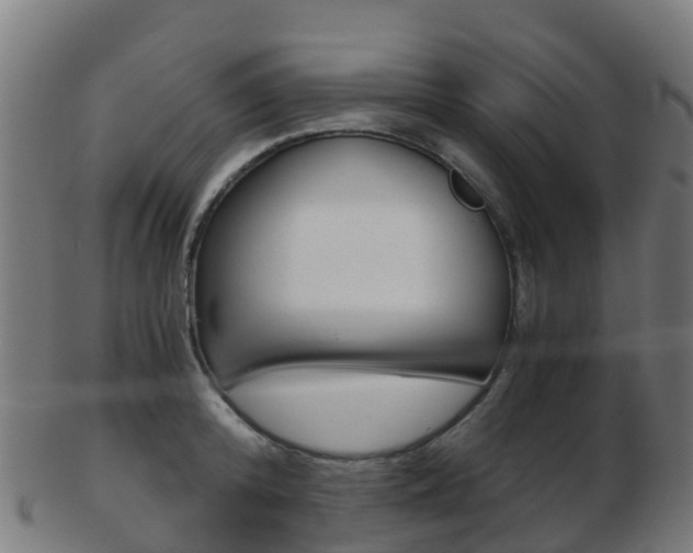 X0000103500800200809121011