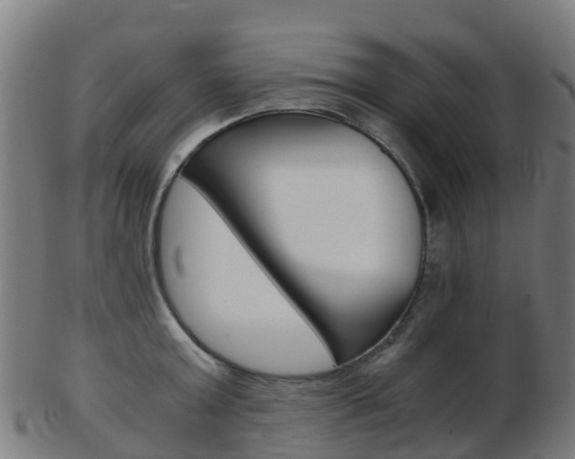 X0000103500803200809121011