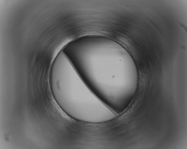 X0000103500804200809121011