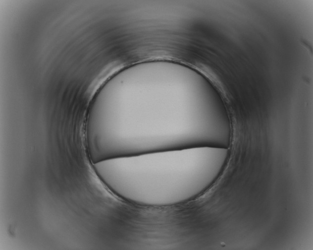 X0000103500806200809121011