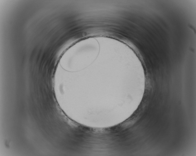 X0000103500807200809121011