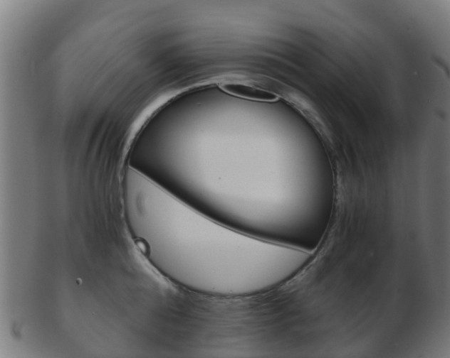 X0000103500808200809121011