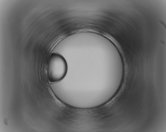 X0000103500809200809121011