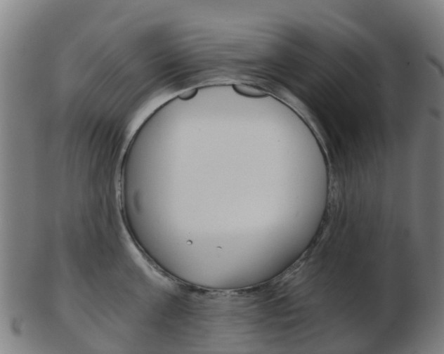 X0000103500811200809121011