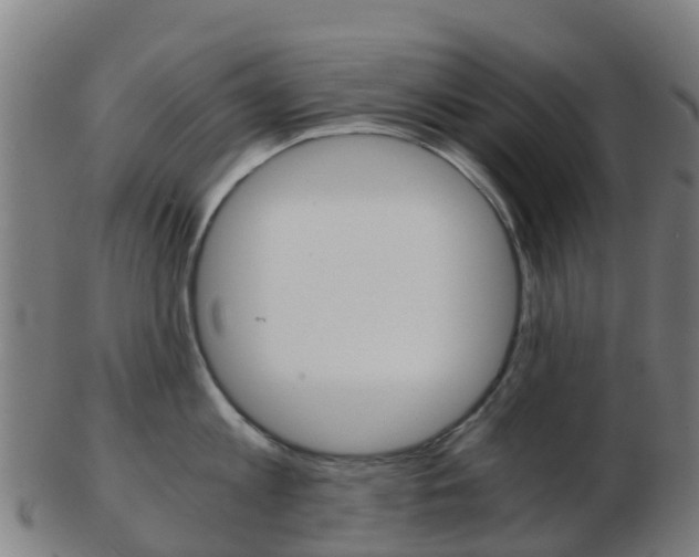 X0000103500813200809121011
