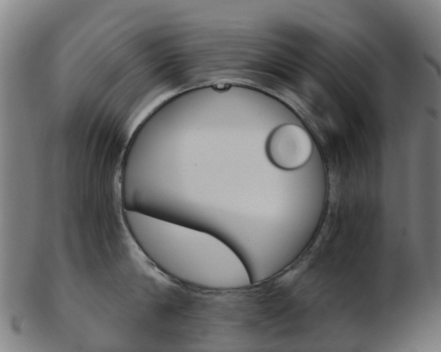 X0000103500814200809121011
