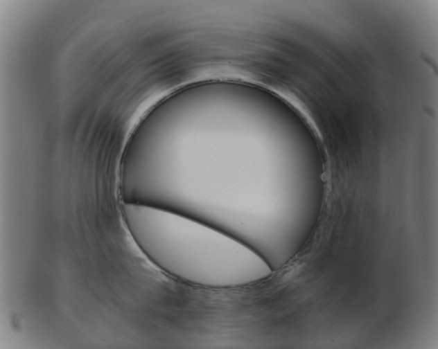 X0000103500815200809121011