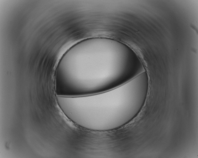 X0000103500816200809121011