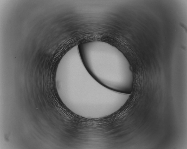 X0000103500818200809121010