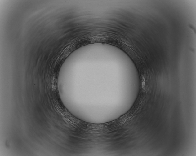 X0000103500819200809121010