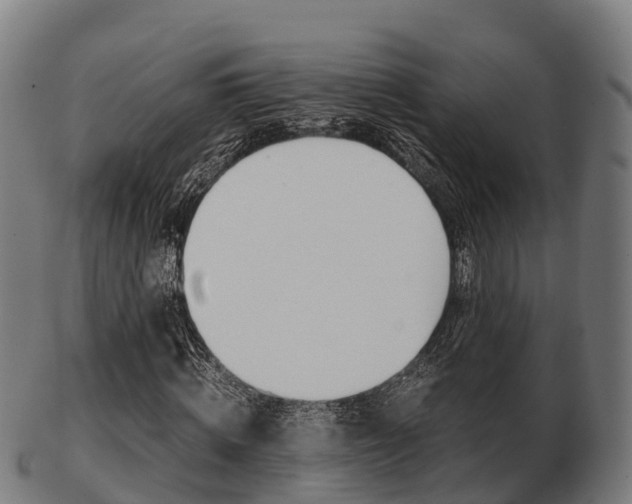 X0000103500820200809121010