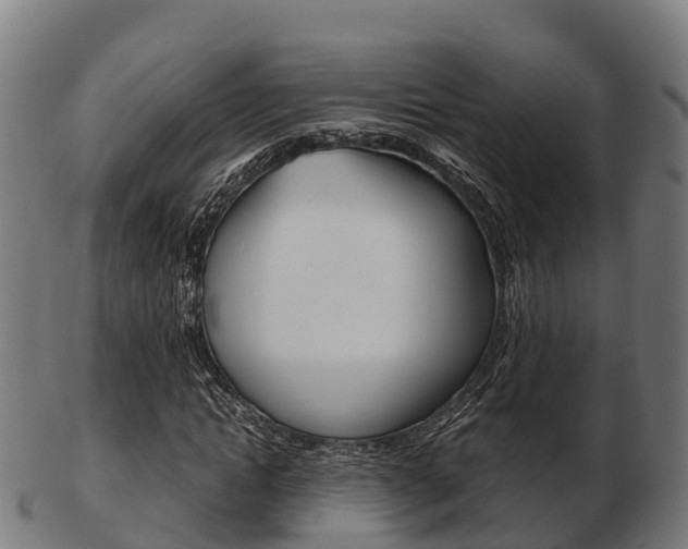 X0000103500822200809121010