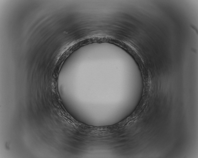 X0000103500823200809121010