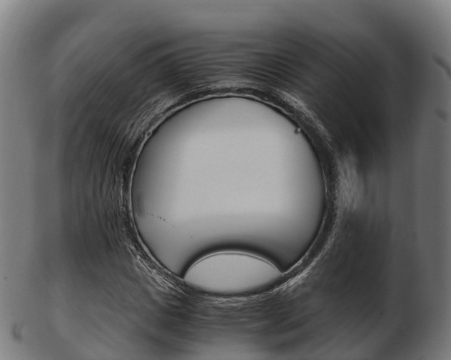 X0000103500825200809121010