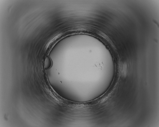 X0000103500826200809121010