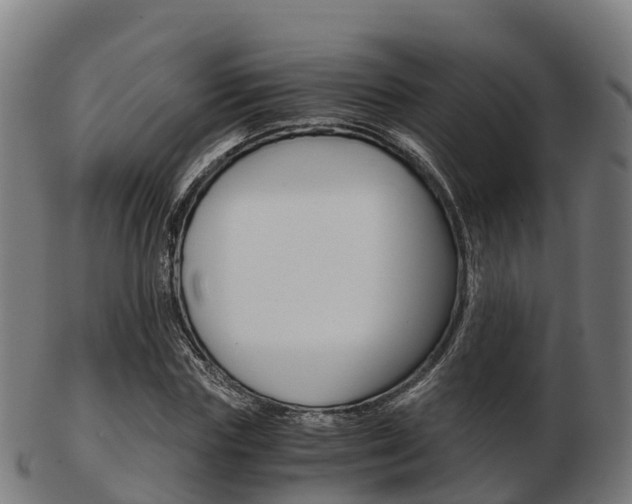 X0000103500827200809121010